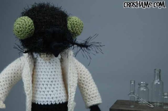 The fly wide closeup